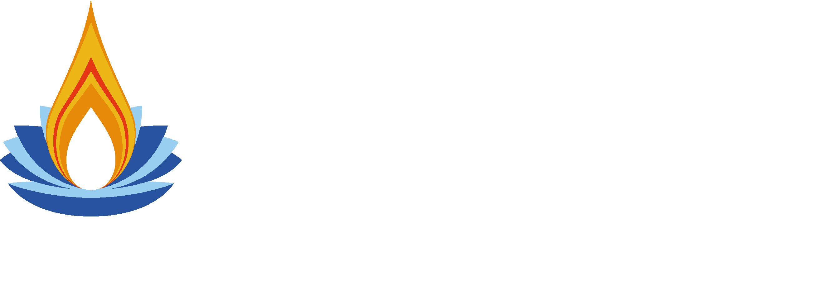 Logo Paris Blanc